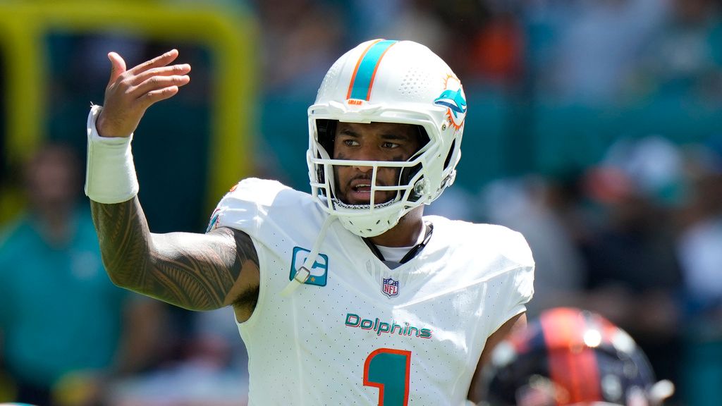 Why the Dolphins Will Bounce Back This Week