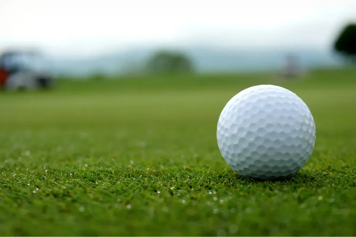 fantasy golf one and done