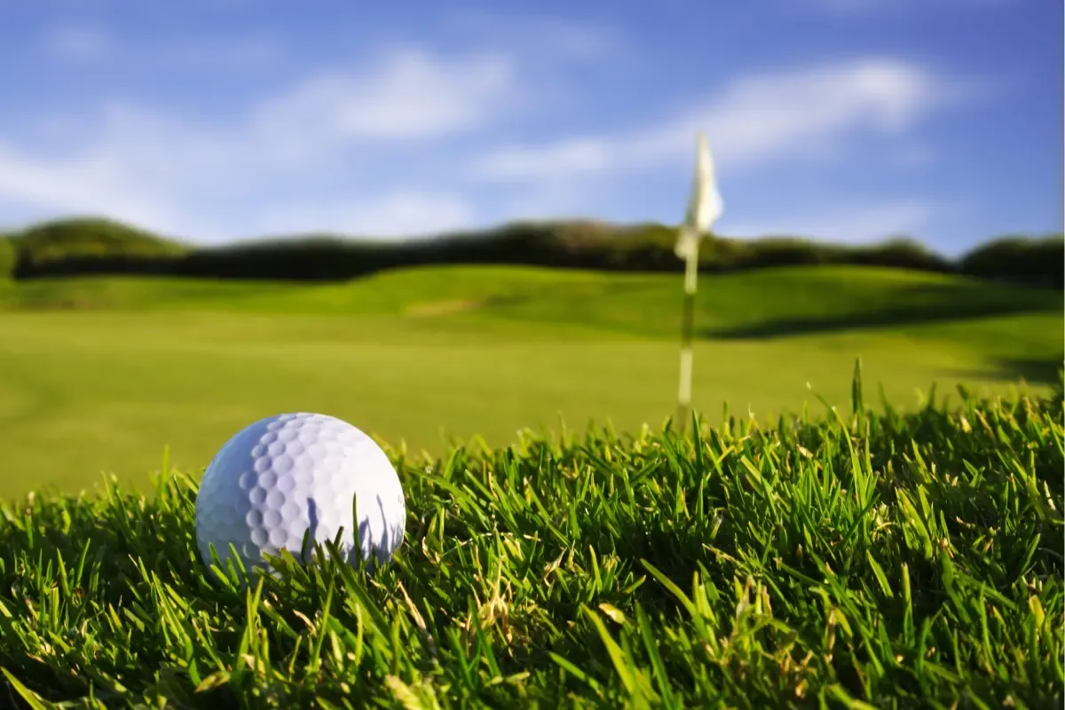 pga fantasy golf league