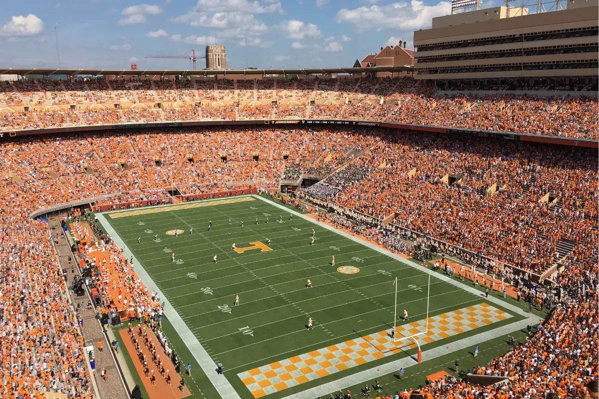 NFL daily fantasy excitement captured in a packed football stadium during a live game