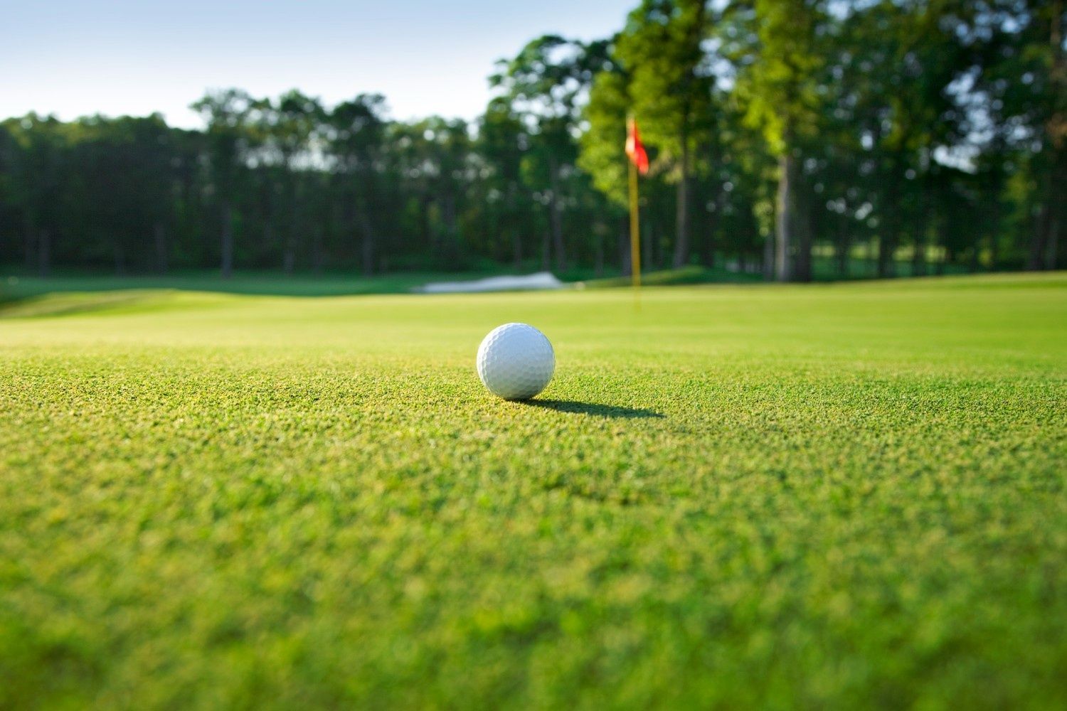 Where to Play Golf One and Done Contests in 2026