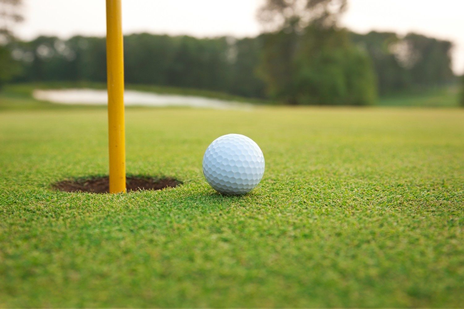 WM Phoenix Open One and Done Picks - PGA (2026)
