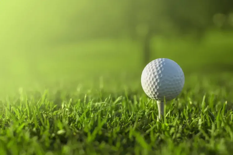 pga tour fantasy golf