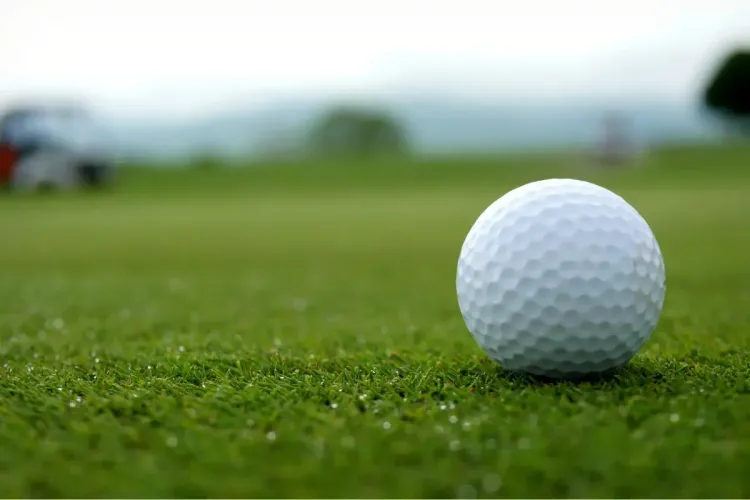 fantasy golf one and done