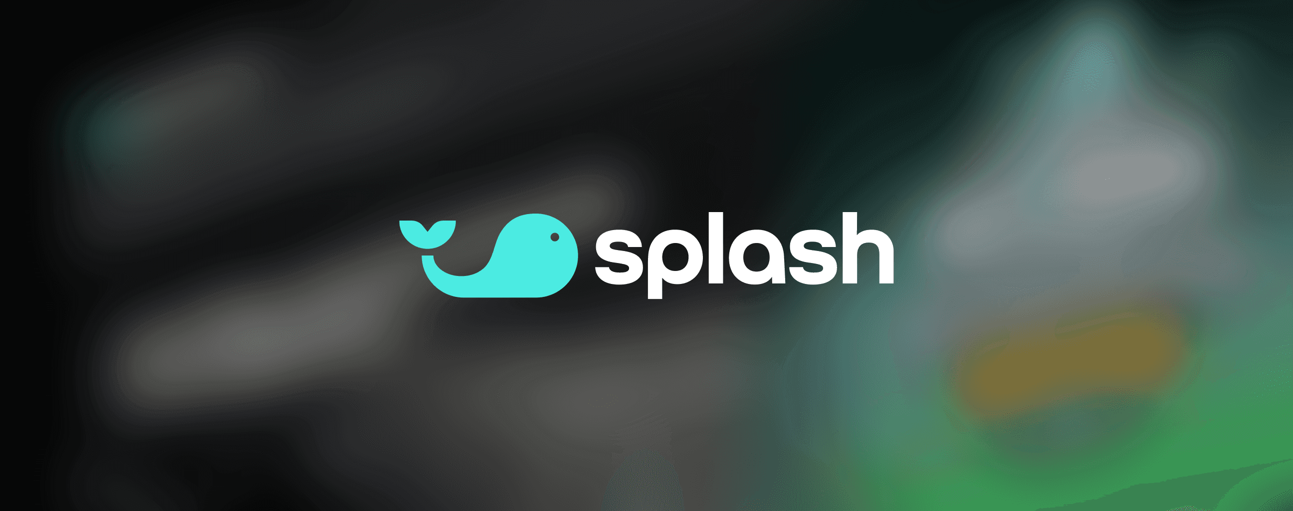 Who owns Splash Sports?